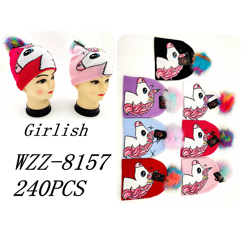 WZZ-8157 CS240